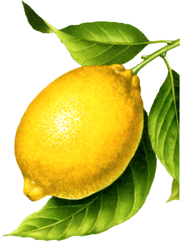 Lemon